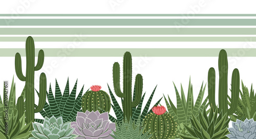 A beautiful collection of various desert plants and succulents in a vibrant garden.