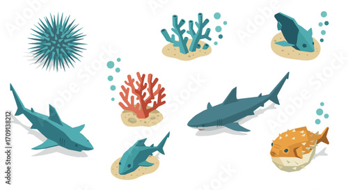 Marine life collection: sharks, coral, and sea creatures in flat design