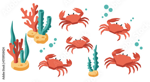 Colorful isometric ocean wildlife with crabs and coral