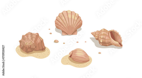 Realistic seashell collection on sand with white background