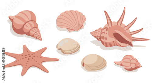 Collection of sea shells and starfish in soft pink tones on white background