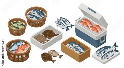 Isometric fresh fish market baskets and containers with assorted catch