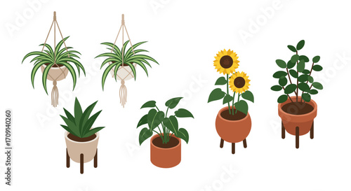 Stylish indoor plants with decorative pots and modern boho minimalist design