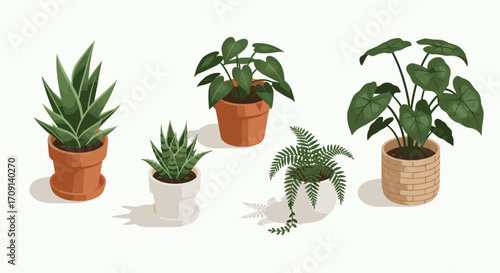 Stylish indoor plants in pots with natural shadows in modern isometric design