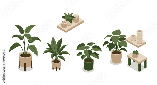 Stylish indoor plants in modern pots with minimalist design elements