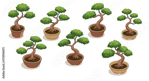 Charming bonsai trees in potted arrangements for home and garden decor