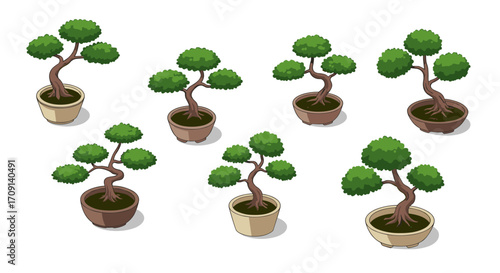 Set of cartoon bonsai trees in various pots with green foliage on white background