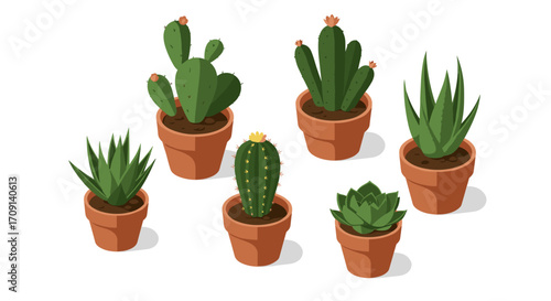 Variety of cacti and succulents in clay pots with isometric design