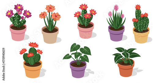 Charming collection of colorful potted cacti and plants in vibrant pots