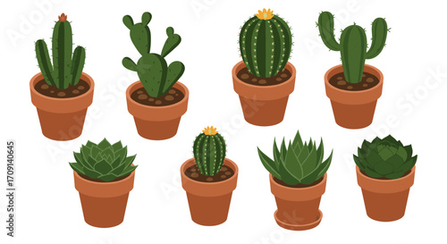 Collection of potted cacti and succulents in flat design