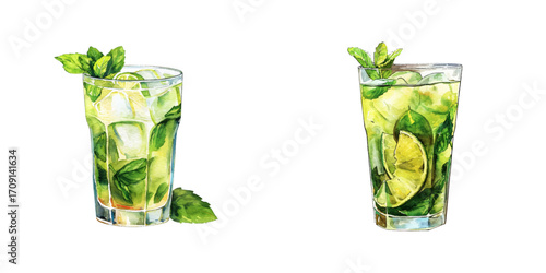 mojito cocktail watercolor vector illustration