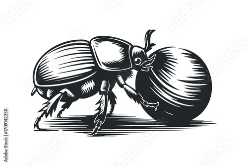Scarabaeus dung beetle pushing sphere on transparent background. Vector hand drawn illustration