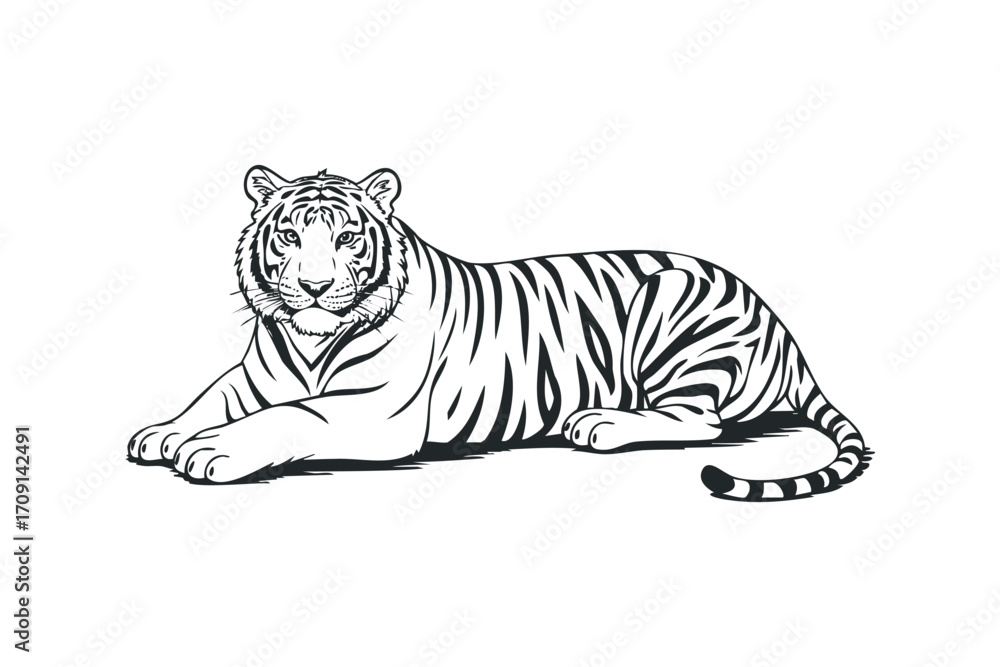 Fototapeta premium Striking Tiger Lying Down. Vector hand drawn illustration