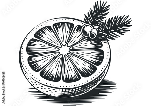 Citrus slice with pine sprig and bauble graphic. Vector hand drawn illustration