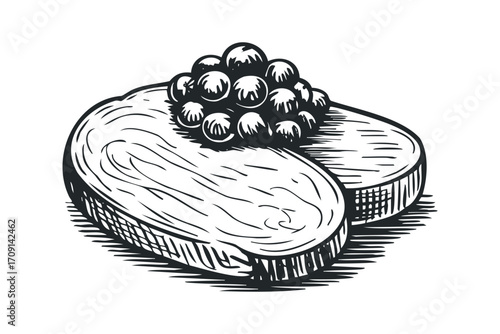 Sketch of round bread slices topped with dark berries on transparent background. Vector hand drawn illustration