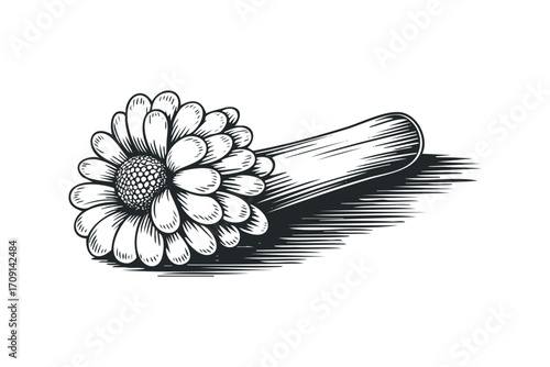 Line art of a single flower with petals and stem. Vector hand drawn illustration