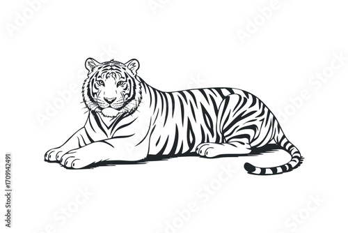 Striking Tiger Lying Down. Vector hand drawn illustration