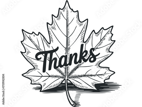 Hand Drawn Thanks Text on Maple Leaf Transparent. Vector hand drawn illustration