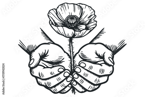 Hand Holding Delicate Poppy Flower. Vector hand drawn illustration