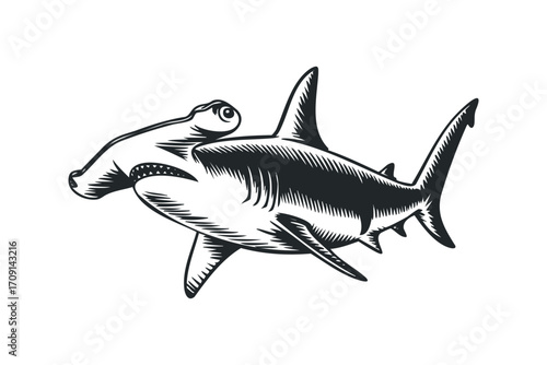 Hammerhead shark linocut style with transparent background. Vector hand drawn illustration