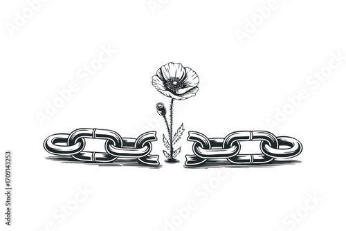 Broken chain with poppy flower, on white background. Vector hand drawn illustration