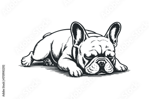 Black and White Sketch of a Sleeping French Bulldog on Transparent Background. Vector hand drawn illustration