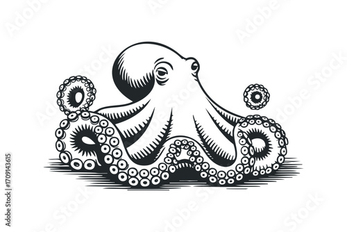 Stylized octopus with tentacles on transparent background. Vector hand drawn illustration