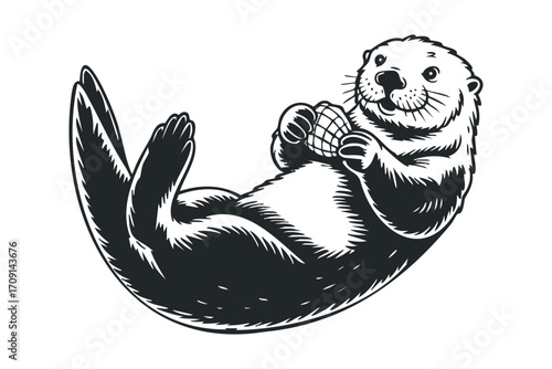 Smiling sea otter holding shell on transparent background. Vector hand drawn illustration