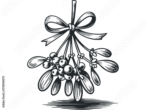 Hanging mistletoe sprig with bow. Vector hand drawn illustration