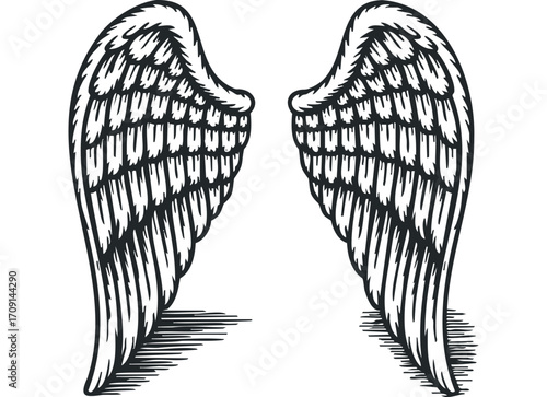 Black and white sketch of feathered angel wings with shading detail. Vector hand drawn illustration