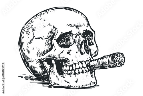 Human skull with cigar, hand drawn sketch on transparent background. Vector hand drawn illustration
