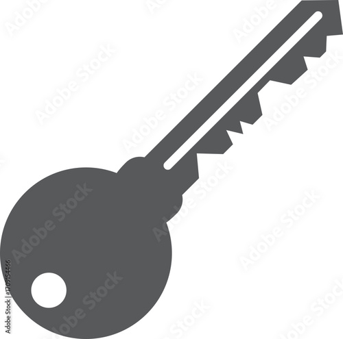 Key vector icon. Open house key icon. Key from the lock icon. Key icon - information protection symbol