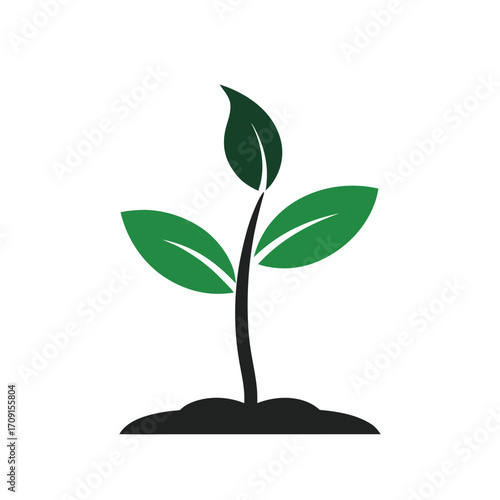 Green plant in a pot illustration