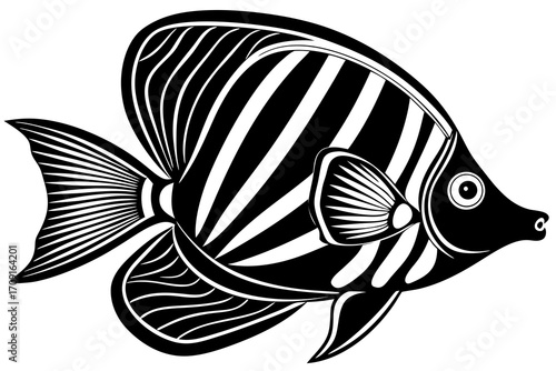 vector illustration of an aquarium fish