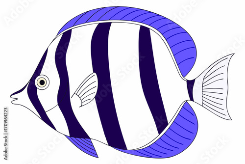 vector illustration of a angel fish