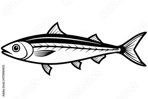 fish on a white background