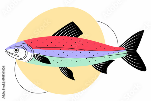 vector illustration of a salmon fish