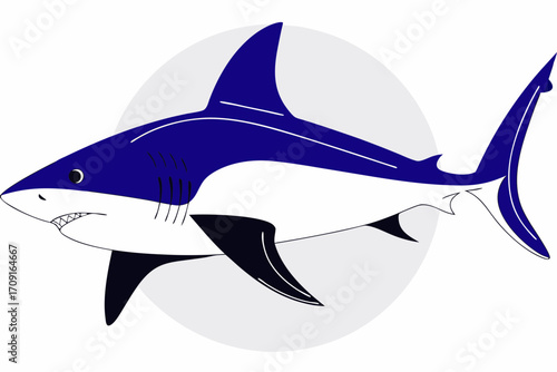 shark vector illustration