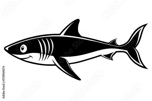 shark vector illustration