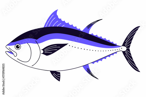 fish on a white background
