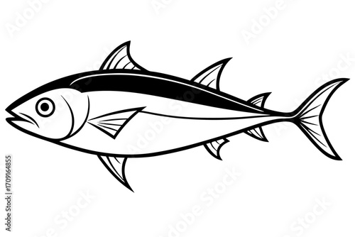fish isolated on white background
