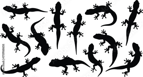Set of Gecko Lizard Silhouettes, Reptile Animal Icons, Black Vector Clipart on Transparent Background, Wildlife Design Elements for Decoration