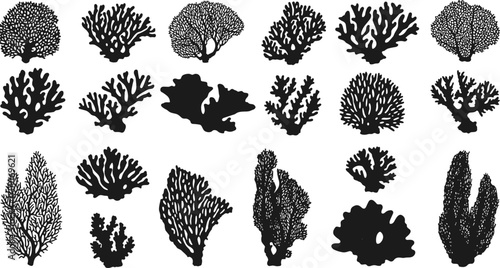 Silhouette coral vector collection, black sea coral shapes, marine reef illustrations, ocean elements, underwater coral clipart, aquatic plant design bundle