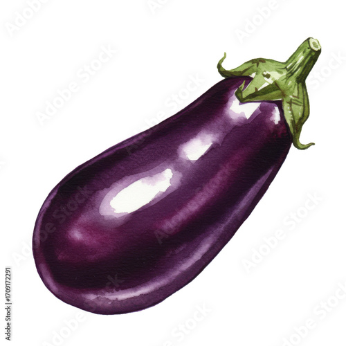 An eggplant in deep purple, watercolor illustration, isolated on transparent background, hand-painted vegetable