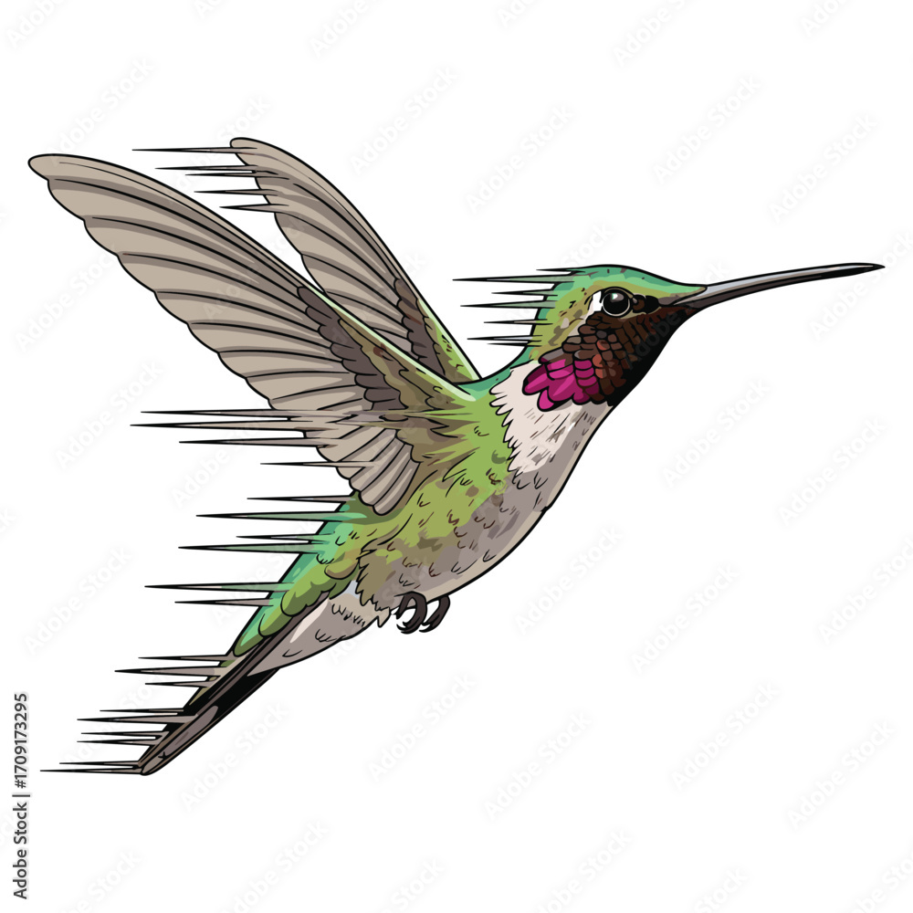 Obraz premium Vector Illustration of Hummingbird in Modern Style with Vibrant Green Pink and Brown Colors