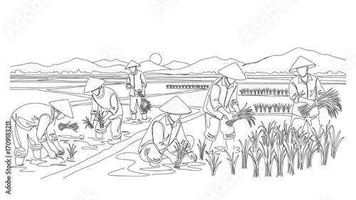 Minimalist One Line Illustration of Farmers Working in Rice Paddy Fields – Continuous Line Art