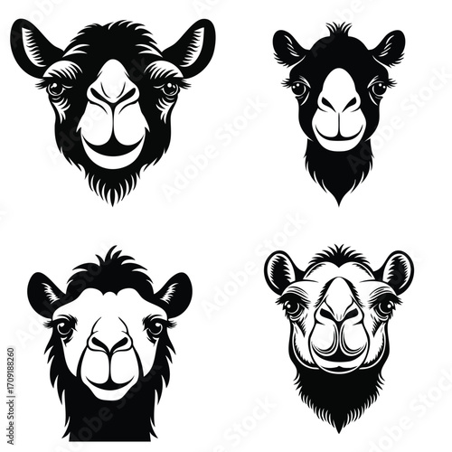 Diverse Camel Heads Vector Silhouette Illustration Collection Expressive Portraits of Desert Animals in a Stylized Art Style