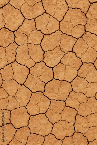 Cracked Dry Soil Desert Ground Texture