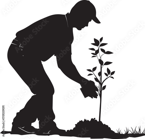 Silhouette of Person Plating the tree.