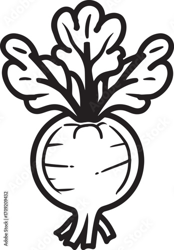 Kohlrabi icon clean simple outline